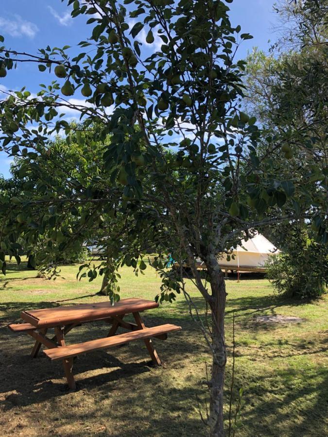 Kai Iwi Lakes Resort Kaihu Bagian luar foto